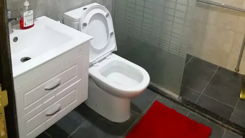 Interior-restroom-image-of-Sana-Farm-1